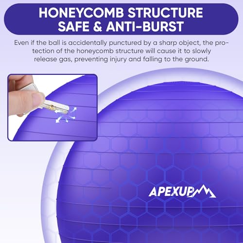 Image of APEXUP Yoga Ball, 660 lbs Anti-Burst Exercise Ball with Pump, 5 Sizes