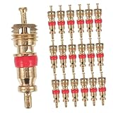 Pièce de valve professionnelle : il s'agit d'un produit approprié pour remplacer les noyaux de valves de vélo/ cassés. il convient à la plupart des pneus de véhicules et les noyaux de valves sont également utilisés dans de nombreux systèmes de réfrigération et de climatisation.