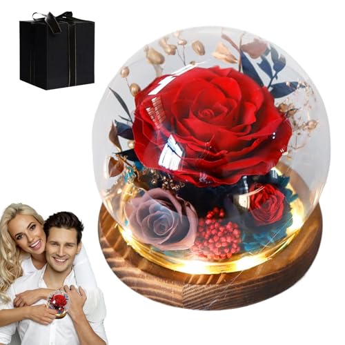 Rosa preservada, flores para siempre en globo de cristal, rosas para siempre, centros de mesa decorativos, flores artificiales, recuerdo para madre, novia, día de la mujer, día de San Valentín