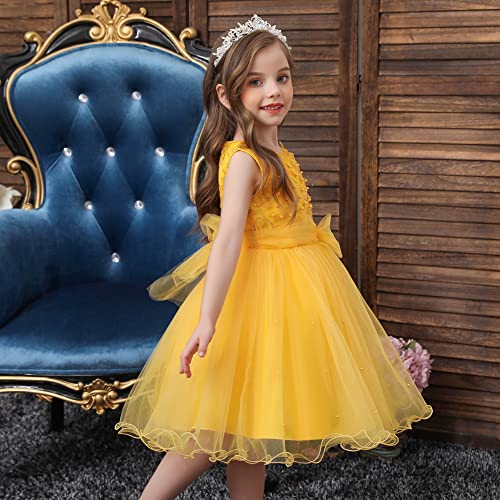 Flower Girls Sleeveless Lace Bridesmaid Dress Kids A-line Pageant Birthday Formal Wedding Gown Party Dresses3