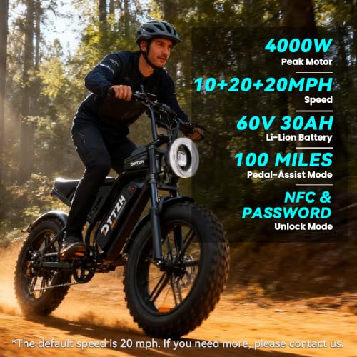DTTZH 4000W Moped-Style E-Bike