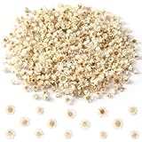 Durée de conservation : Généralement, les fleurs séchées peuvent durer de 1 à 3 ans. Évitez de les placer dans des endroits humides, car cela affecterait leur durabilité, et protégez-les de la lumière directe du soleil pour éviter qu'elles ne deviennent fragiles ou ne changent de couleur