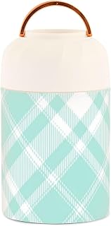 Green Checkerboard Stainless Steel Vacuum Insulated lunch containers for kids with spoon for breakfast overnight oat 17 oz