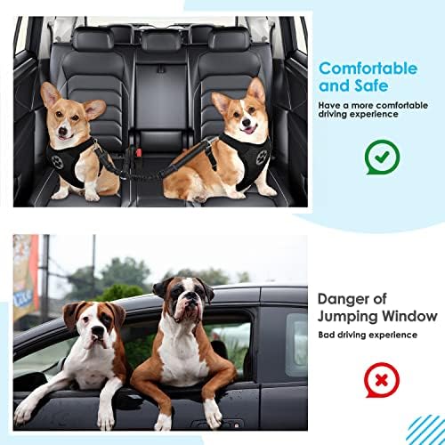 Lukovee Double Car Seatbelt, Reflective dog seat belts for cars Adjustable Elastic Anti-Shock Bungee Buffer 2 Dogs Car Harness Seatbelts Coupler, Puppy Cars Restraint Safety Travel Belts Splitter