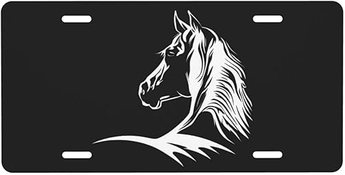 Miniatura 38 de Placa de matrícula retro Daisy, placa de matrícula delantera decorativa para el auto, placas de matrícula novedosas de aluminio, etiqueta de