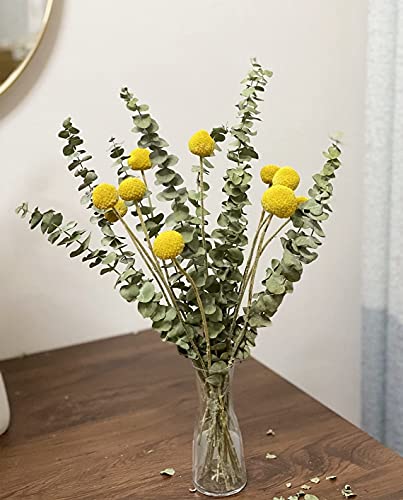 Comtelek 10-Piece Eucalyptus Dried Plant, 45cm Natural Dried Flowers Bouquet with Real Eucalyptus Leaves for Wedding Spring - Image 3
