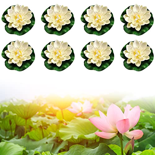 Mini Seerose Aquarium Die 15 besten Produkte im Vergleich Aquaristik