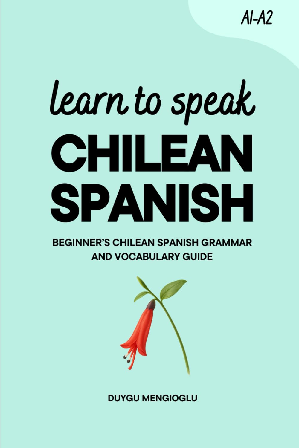 Learn to Speak Chilean Spanish: Beginner’s Chilean Spanish Grammar and Vocabulary Guide (Learn Chilean Spanish)
