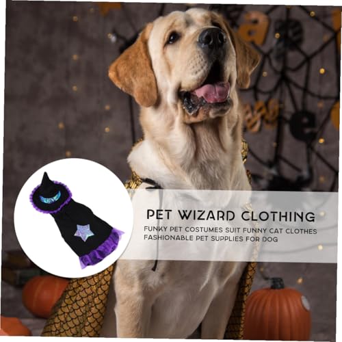 Disfraz para perro Wizard tamaño grande Halloween miniatura 3