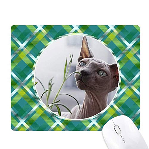 Tapis de souris chat gris fin à motif de grille verte graphique