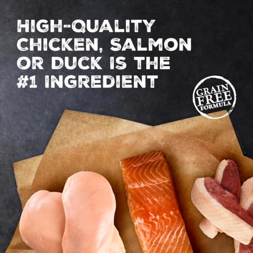 Blue Buffalo Wilderness Variety Pack Adult Paté Wet Cat Food, 3 oz, 12 ct | Chicken, Salmon, and Duck Patés (4 of Each), High Protein & Grain-Free Recipes, Supports Daily Hydration
