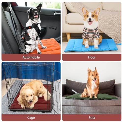 Tapis chien imperméable et lavable couverture antistatique rouge