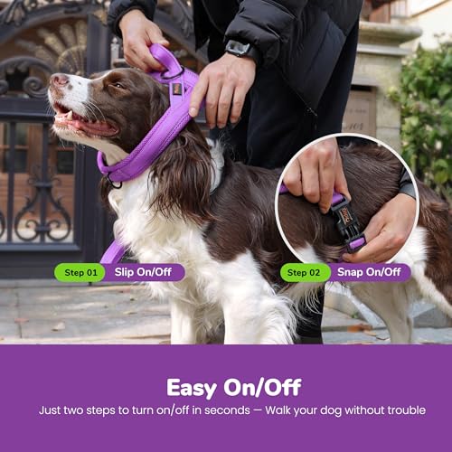 Image of No Pull Dog Harness for Small Dogs, Breathable Mesh Padded, Purple,XS | Quick Fit, Easy On and Off, Lightweight, Reflective Vest Harness for Night Safty, Easy for Walking and Training, Chest 15-18 inch