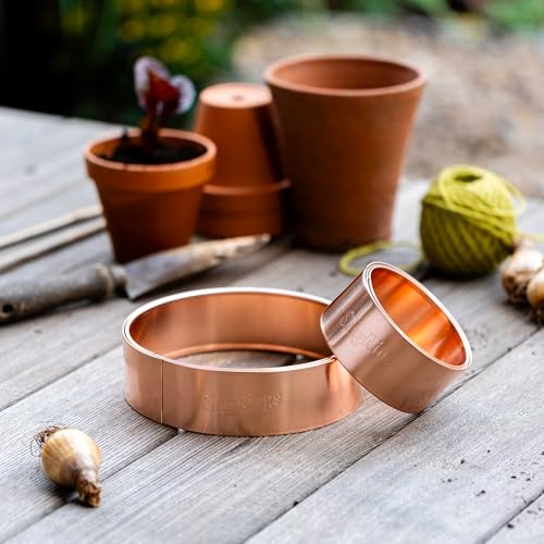 Slug Rings Copper Slug and Snail repellent rings starter mixed size pack - 3 x 10cm and 3 x 17cm