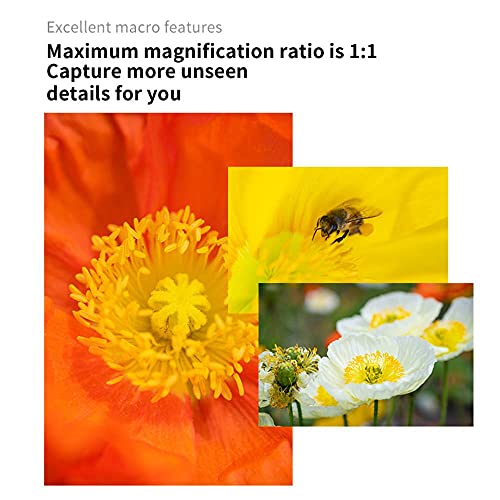 7Artisans 60Mm F2.8 Mark Ii Macro Manual Focus Camera Lens Aps-C Mirrorless Camera Lens For Sony E Mount Cameras Like A7 A7Ii A7Rii A7S A7Sii A6300 A6000 A5100 Ex-3 Nex-3N Nex-3R Nex-F3K Nex-5 Nex-5N #TOP3