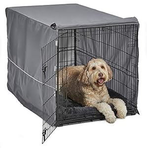 Midwest Homes B48DD-KIT Hundebox Starterset Grau