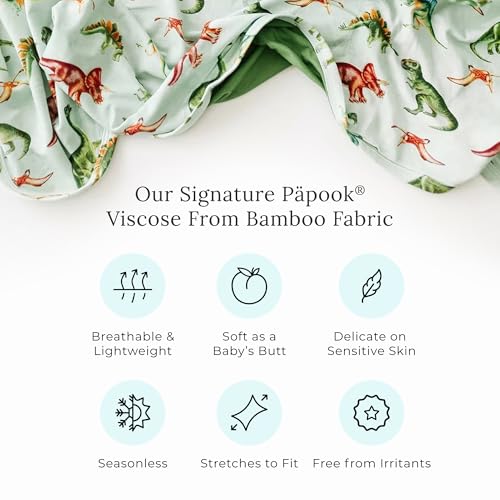 Posh Peanut Boys Pajamas - PJs for Kids Made of Soft Viscose from Bamboo, Long Sleeve Toddler PJs & Matching Boys Pajama Sets4