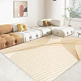 FINOREN Artistic Lines Area Rugs for Living Room,Bedroom,Hallway,Dining Room,Non-Shedding,Non Slip B