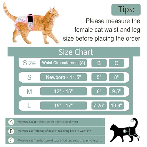Image of Reusable Cat Diapers 3 Pack with Good Absorbency Kitten Diapers for Female Cats Small& Male Cat Easy to Put on Adorable Secure Fit M