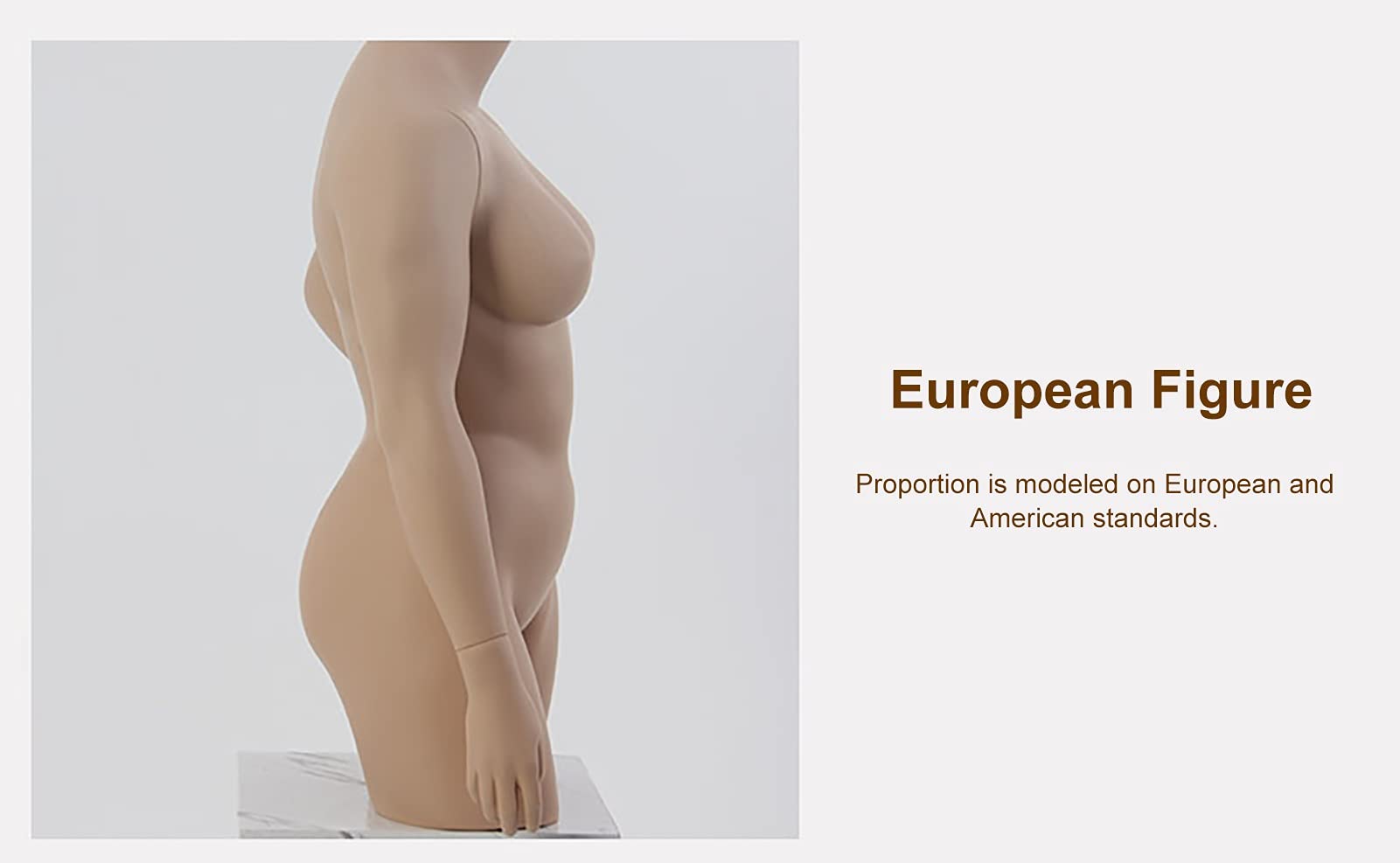 Amazon.co.jp: マネキン プラスサイズの腕付きマネキン胴体、 リアルな