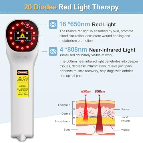 Cold Laser Therapy for Dogs 4x808nm and 16x650nm Veterinary Laser Therapy Machine, Red Light Laser Therapy for Pain Relief Arthritis Muscle Joints, Pet Laser Therapy at Home for Dogs, Cat and Horse
