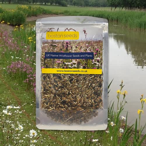 Boston Seeds Wetland & Pond Edge Wildflower Seed - 100% Perennial Wetland & Pond Edge Wild Flower Seeds. 22 British Wildflower Seeds for Planting Near Rivers, Ponds, Lakes & Wetland Areas (100g)