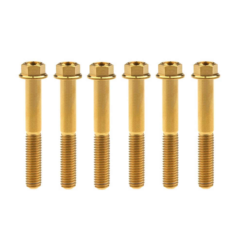 DWAMMEBRS M8x15-65mm Flange Hex Head Screws Pich 1.25mm Pack of 6 for Motorcycle Bike Parts(Gold,M8x55mm)