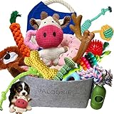 Jalousie Multipack Dog Squeaky Toys Bulk Bundle Pup Toy - Puppy Toys for Pets for Small Medium Breed (30 PCs Gift Basket)
