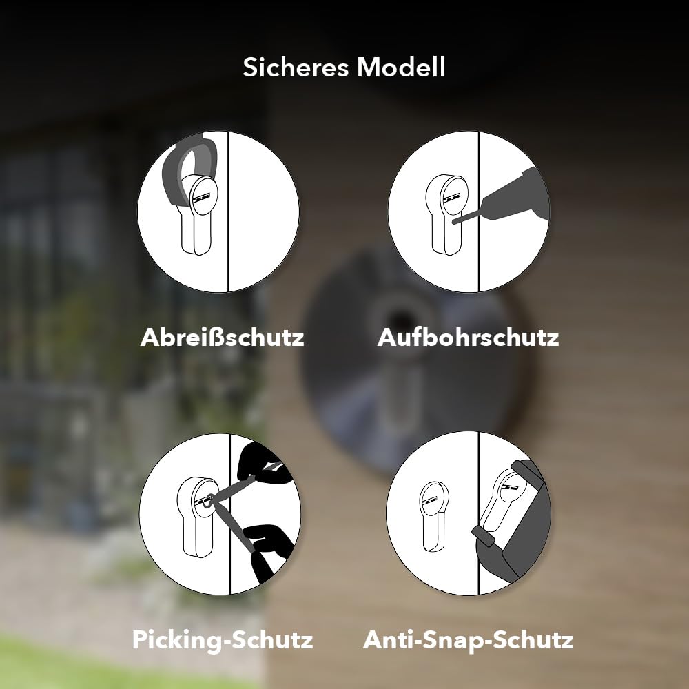 Transit 2 Schließzylinder 35 x 35 mm – Sicherheitssystem mit Nickel-Finish – für Eingangstür – Notfunktion – hergestellt in Frankreich – Lieferung mit 5 langen Schlüsseln THIRARD