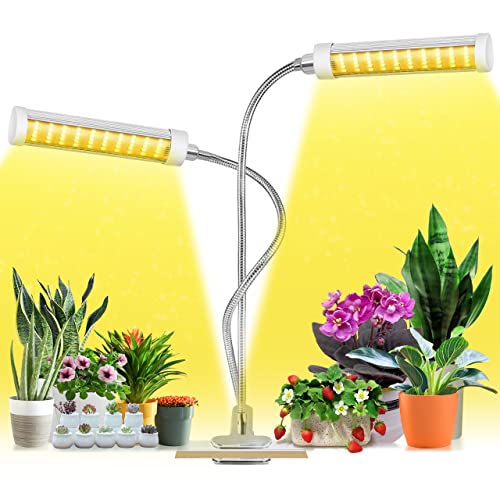 Best Grow Lights Best Cost