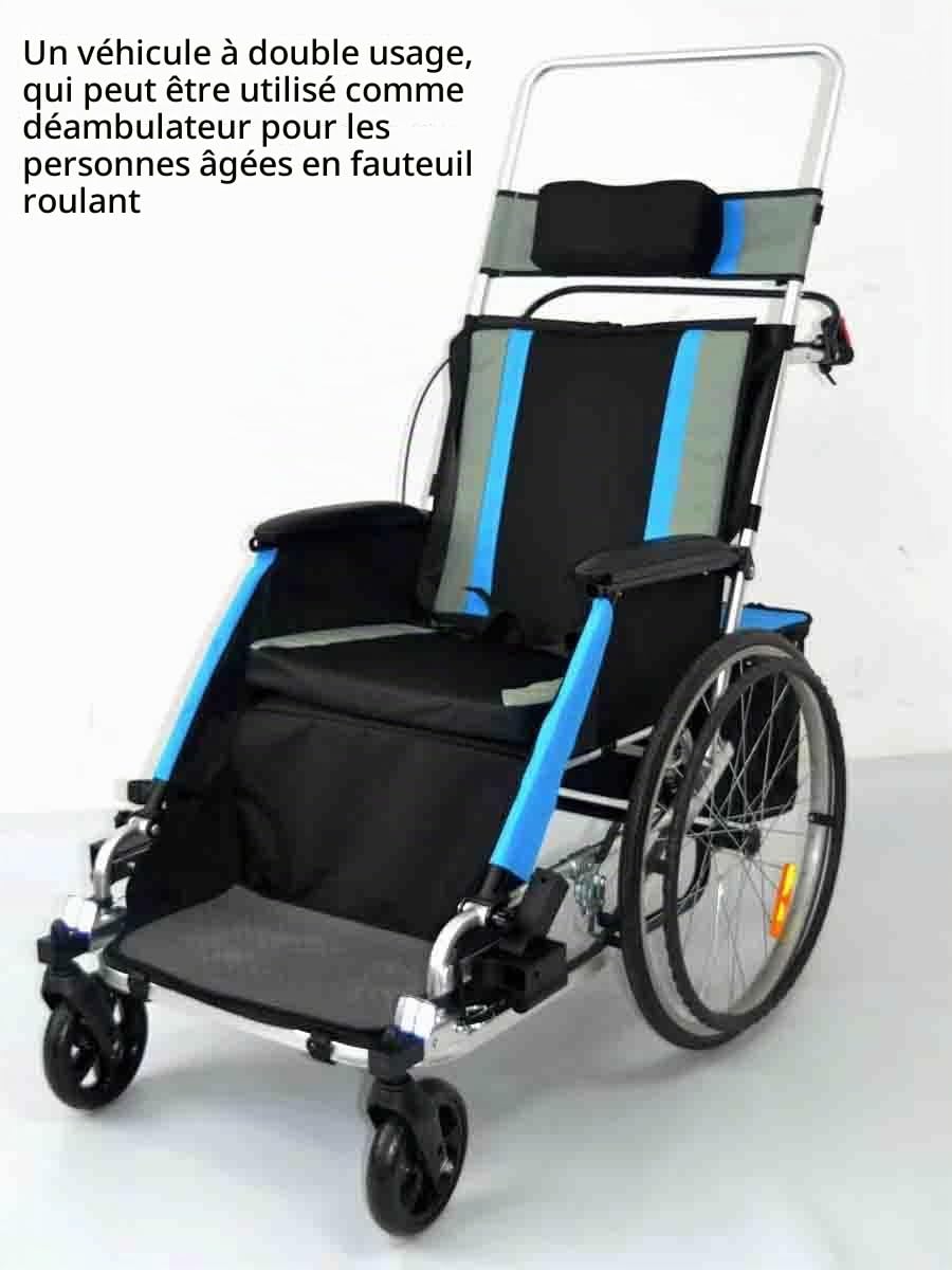 Remorque de vélo Adulte Fauteuil Roulant Vélo en Alliage D'aluminium Remorque Arrière Absorption des Chocs Tracteur Confortable Chariot Multifonctionnel (Blue)