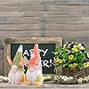 3 Pcs Easter Decorations,Handmade Gnome Faceless Plush Doll,Easter Gifts for Kids/Women/Men,Easter Decorations Ornaments for The Home⌠#2