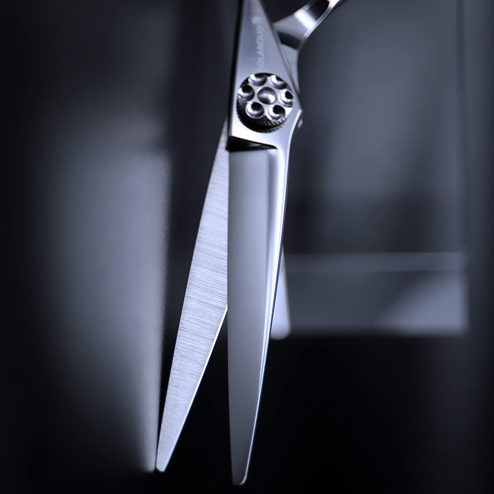 AOLANDUO Prime Friseurschere (15,2 cm) mit super konvexem Rand, AICHI JP440C Haarschneideschere, langlebig, glatte Bewegung und feine Haarschneideschere für Salon (Klassisch)