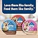 Blue Buffalo Delights Natural Adult Small Breed Wet Dog Food, Variety Pack, Made with Natural Ingredients, Filet Mignon & New York Strip Recipe in Hearty Gravy, 3.5-oz. Cups (12 Count, 6 of Each)