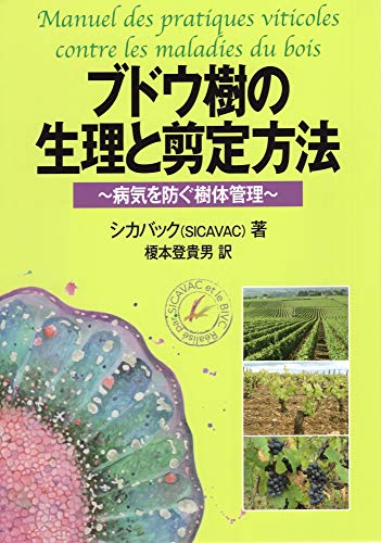 PDFダウンロード ブドウ樹の生理と剪定方法 病気を防ぐ樹体管理 バイ