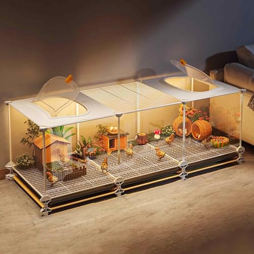 Boîte d'élevage de poules - Poulailler - Cage à caille - Avec vision transparente et coussinets cryptés - Design plateau - Idéal pour furets, chinchillas, cochons d'Inde