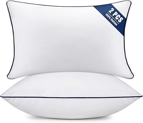 OKBA Juego de 2 rellenos de almohada de 12 x 20 pulgadas, cojines cuadrados esponjosos con fundas 100% de algodón, rellenos de almohada decorativos