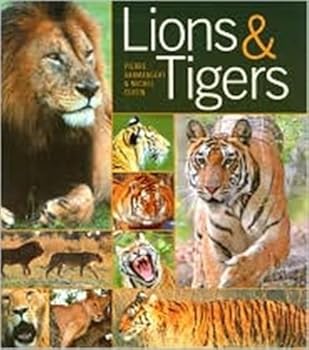 Hardcover Lions and Tigers Book