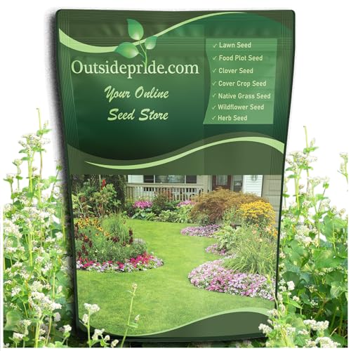 Outsidepride Buckwheat Seeds - 10lbs Annual, Fast-Growing, Easy to Grow Buckwheat Cover Crop Seeds...