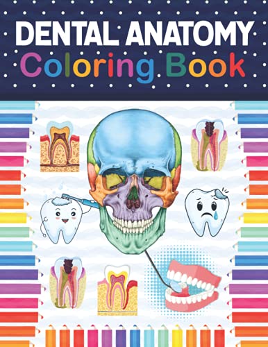 Dental Anatomy Coloring Book: Fun and Easy Adult Coloring Book for Dental Assistants, Dental Students, Dental Hygienists, Dental Therapists, Periodontists and Dentists. Essential of Dental Assisting.