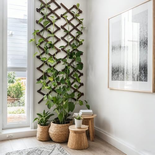 Image of Expandable Garden Trellis, 13 inchx68 inch Trellis for Climbing Plants Outdoor