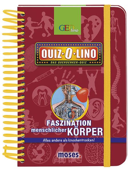 Quiz-O-lino Faszination menschlicher Körper: Alles andere als knochentrocken