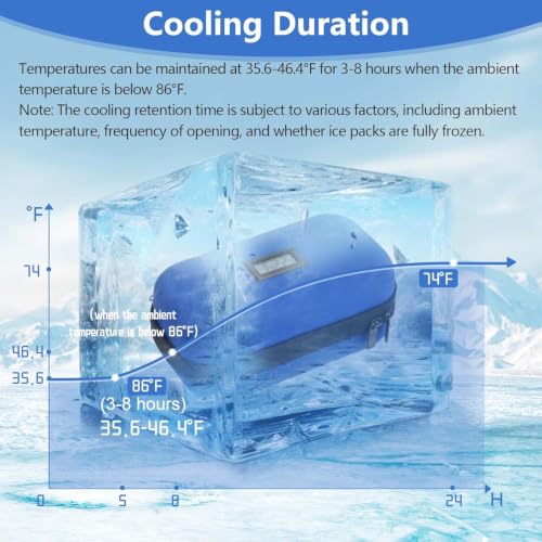 Image of Insulin Travel Organizer - TSA Approved Diabetic Medicine Storage Bag with Temperature Display and 2 Cooling Gel Packs (Blue.)