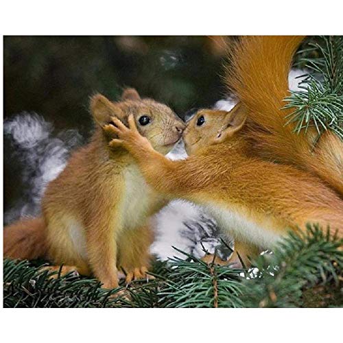 AZYVv Puzzle 1000 Teile 3D Erwachsene Puzzles Baum Mit Zwei Küssender Eichhörnchen Art DIY Leisure Game Spielzeug Heimtextilien Cover