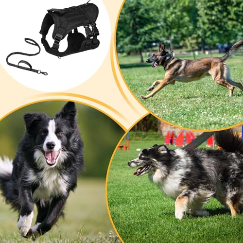 Arnés para perro pequeño ajustable y cómodo con correa a juego para paseos sin tirones 6