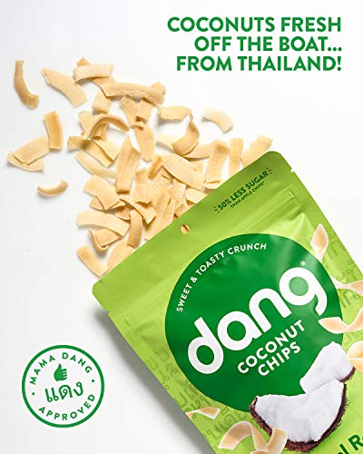 Dang Toasted Coconut Chips | Original | 1 Pack | Vegan, Gluten Free, Non Gmo, Healthy Snacks Made With Whole Foods | 3.17 Oz Resealable Bag #TOP2