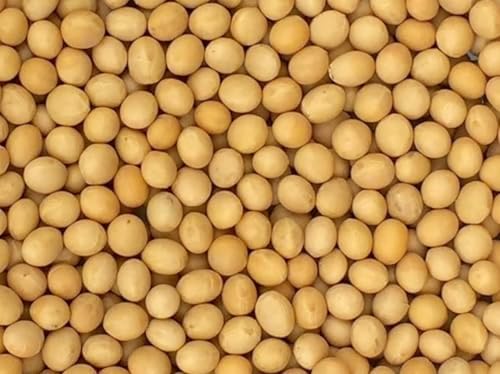 Premium Non-GMO Soybeans - 3 Lbs - Perfect for Soy Milk, Tofu, Natto - 100% Product of USA