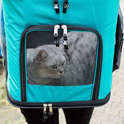 Navaris Rucksack für Hund Katze gepolstert - Hunderucksack Katzenrucksack mit Bauchgurt - 41x34,5x43cm Haustier Backpack faltbar - Traglast bis 12kg