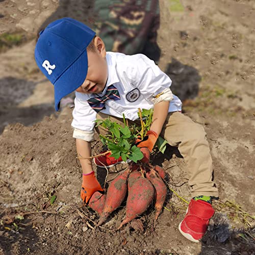Kldollar Kids Gardening Gloves Kid Garden Gloves, Safety Rubber Coated Kids Work Gloves For Youth Girls Boys, Flexible & Breathable Yard Work Gloves - Small Age 4-6, Orange #TOP2