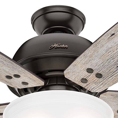 Hunter Fan 60 Inch Casual Noble Bronze Indoor Ceiling Fan With Light Kit And Remote Control (Renewed) #TOP3